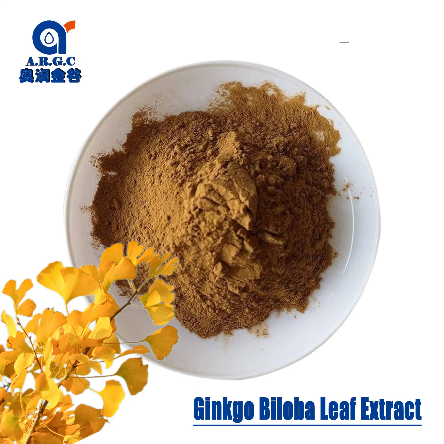 24,0% Flavones 6,0% lactones Extracto de Ginkgo Biloba Extracto de hojas de Ginkgo Biloba Polvo