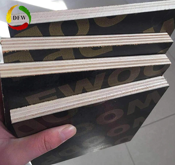 Building Materials Timber Black Film Faced Plywood Used in Formwork